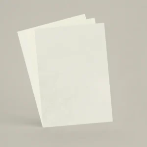 3 échantillons A6 Chaux brossée, ferrée, lissée RMDV05 - Calisson