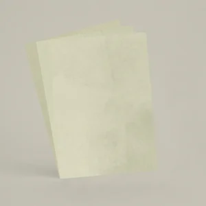 3 échantillons A6 Chaux brossée, ferrée, lissée RMDV09 - Argile