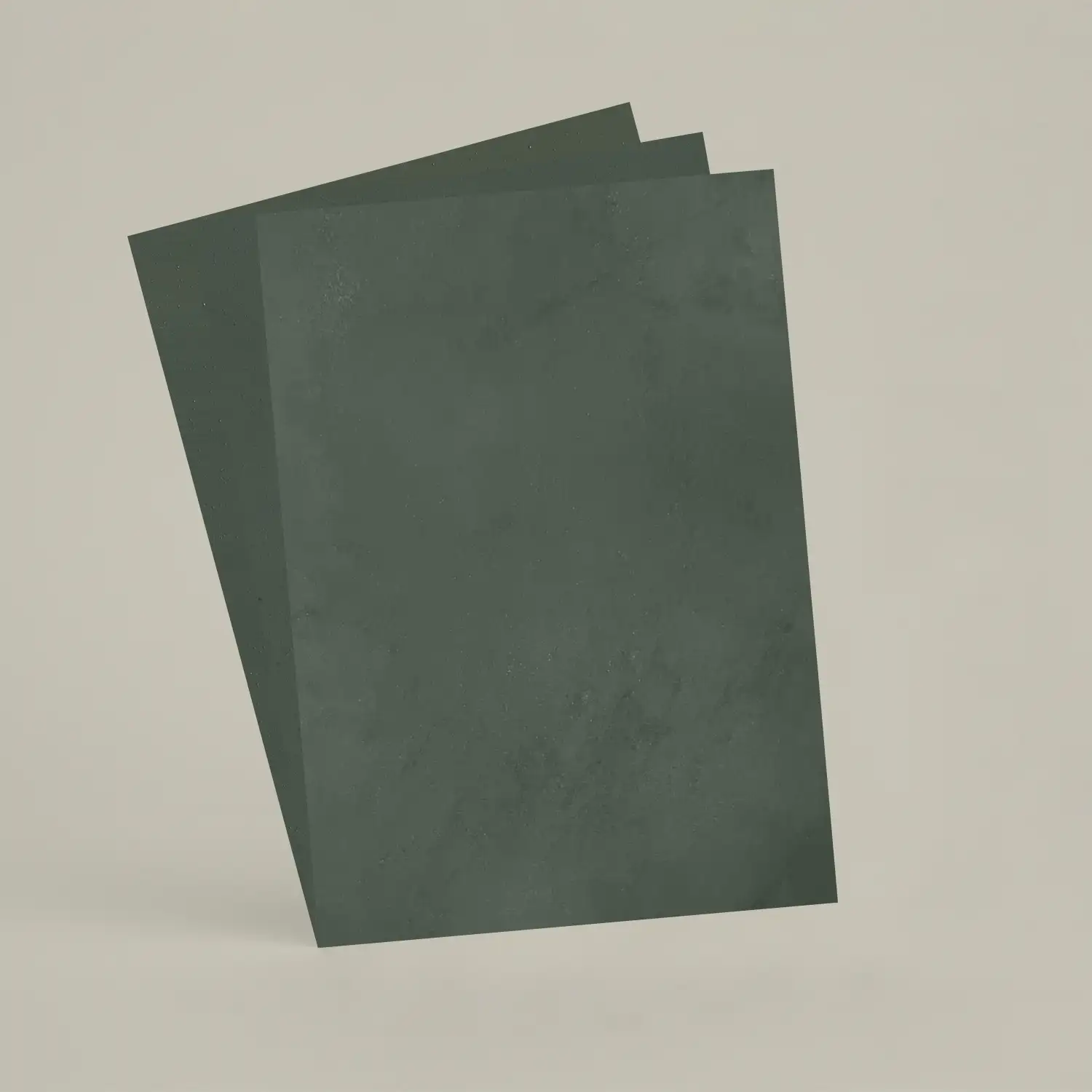 3 échantillons A6 Chaux brossée, ferrée, lissée RMDV18 - Laurier Sauce