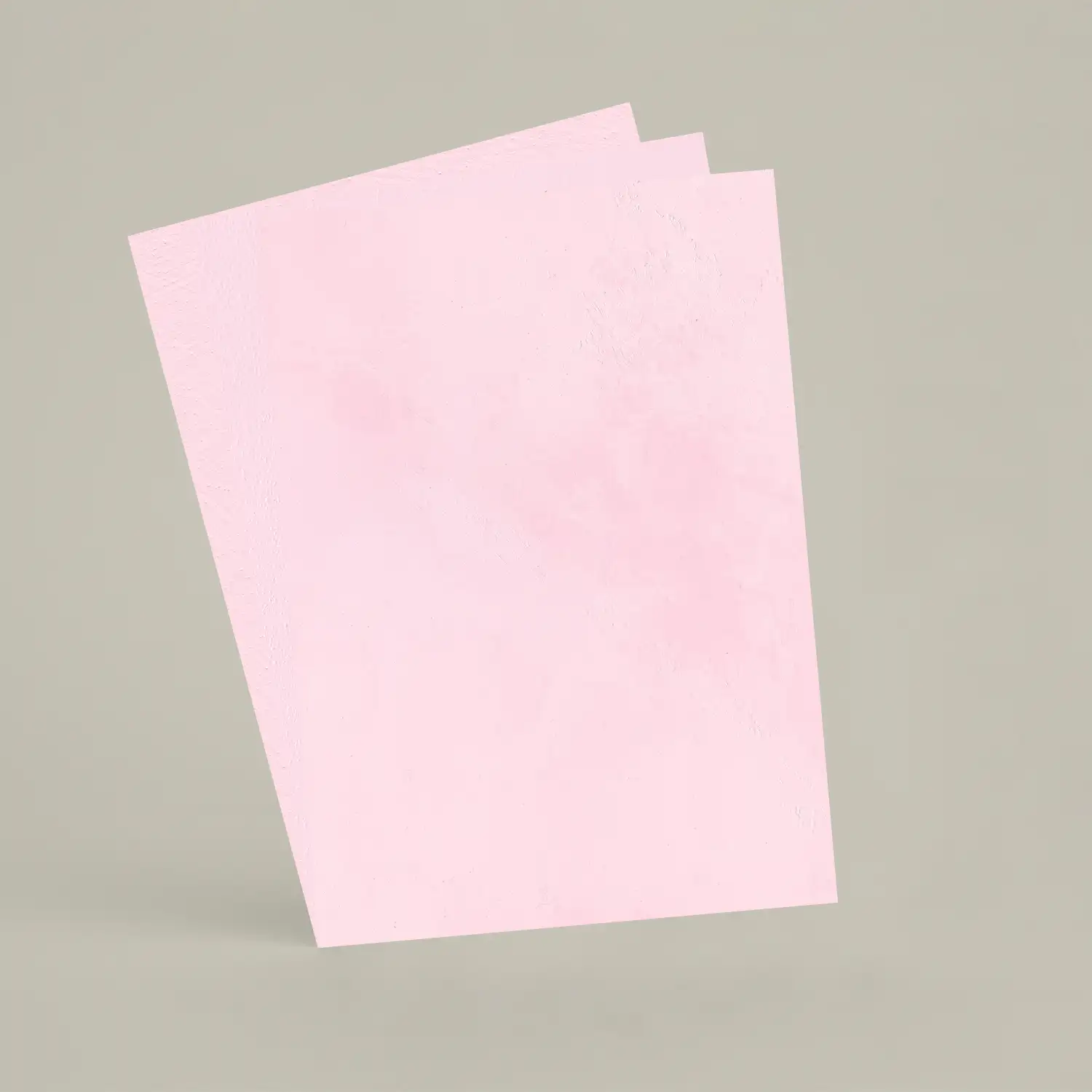 3 échantillons A6 Chaux brossée, ferrée, lissée RMDV42 - Panty