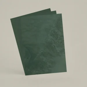 3 échantillons A6 Chaux brossée, ferrée, lissée RMDV69 - Avocat