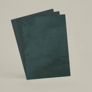 3 échantillons A6 Chaux brossée, ferrée, lissée RMDV73 - Canard