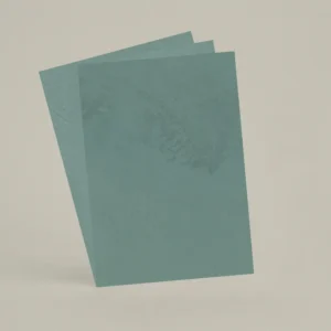 3 échantillons A6 Chaux brossée, ferrée, lissée RMDV76 - Embruns