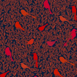 PC01 - Paradis Caché