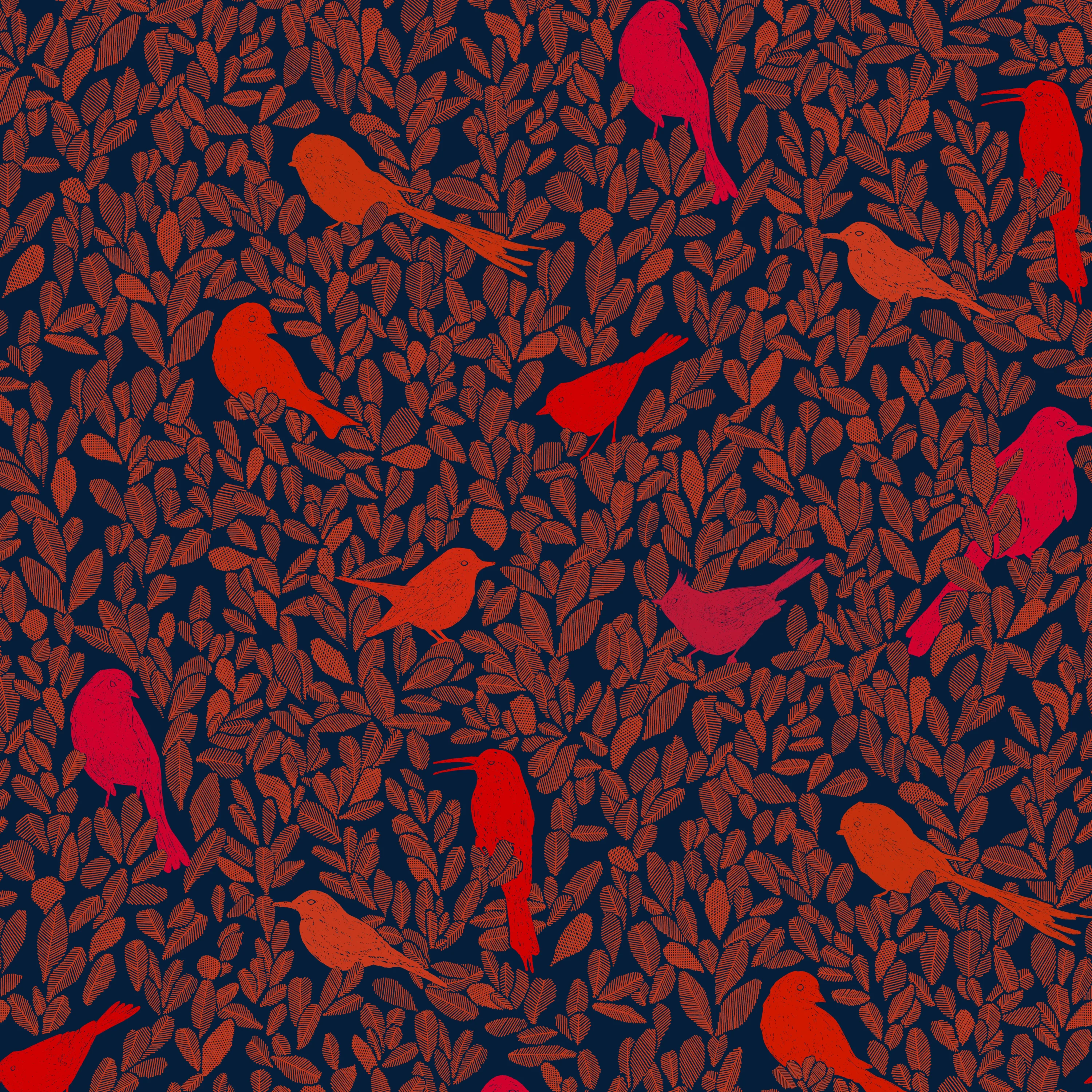 PC01 - Paradis Caché