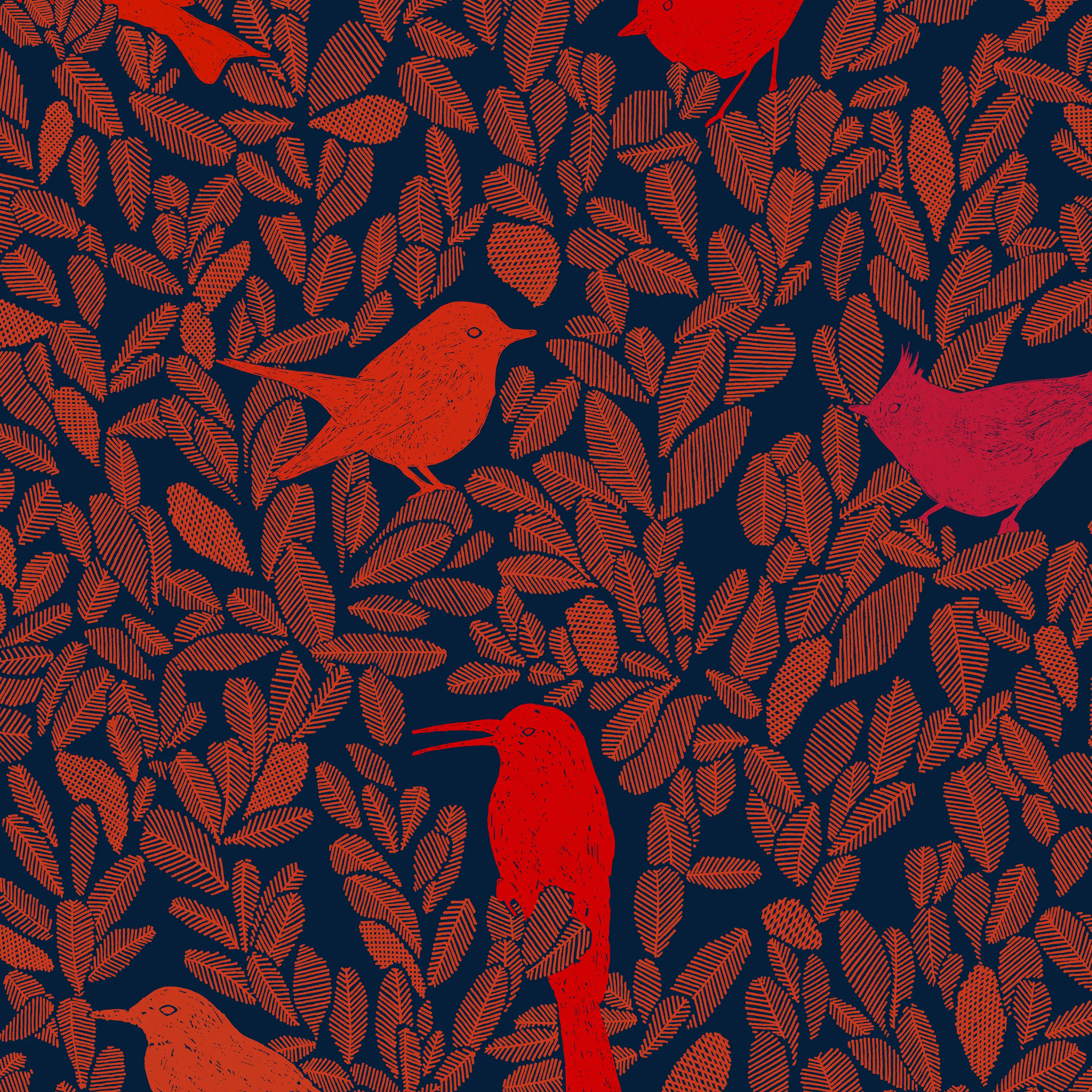 PC01 - Paradis Caché