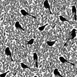 PC02 - Paradis Caché