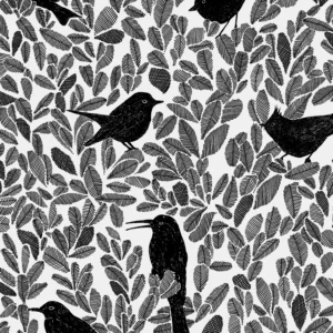 PC02 - Paradis Caché