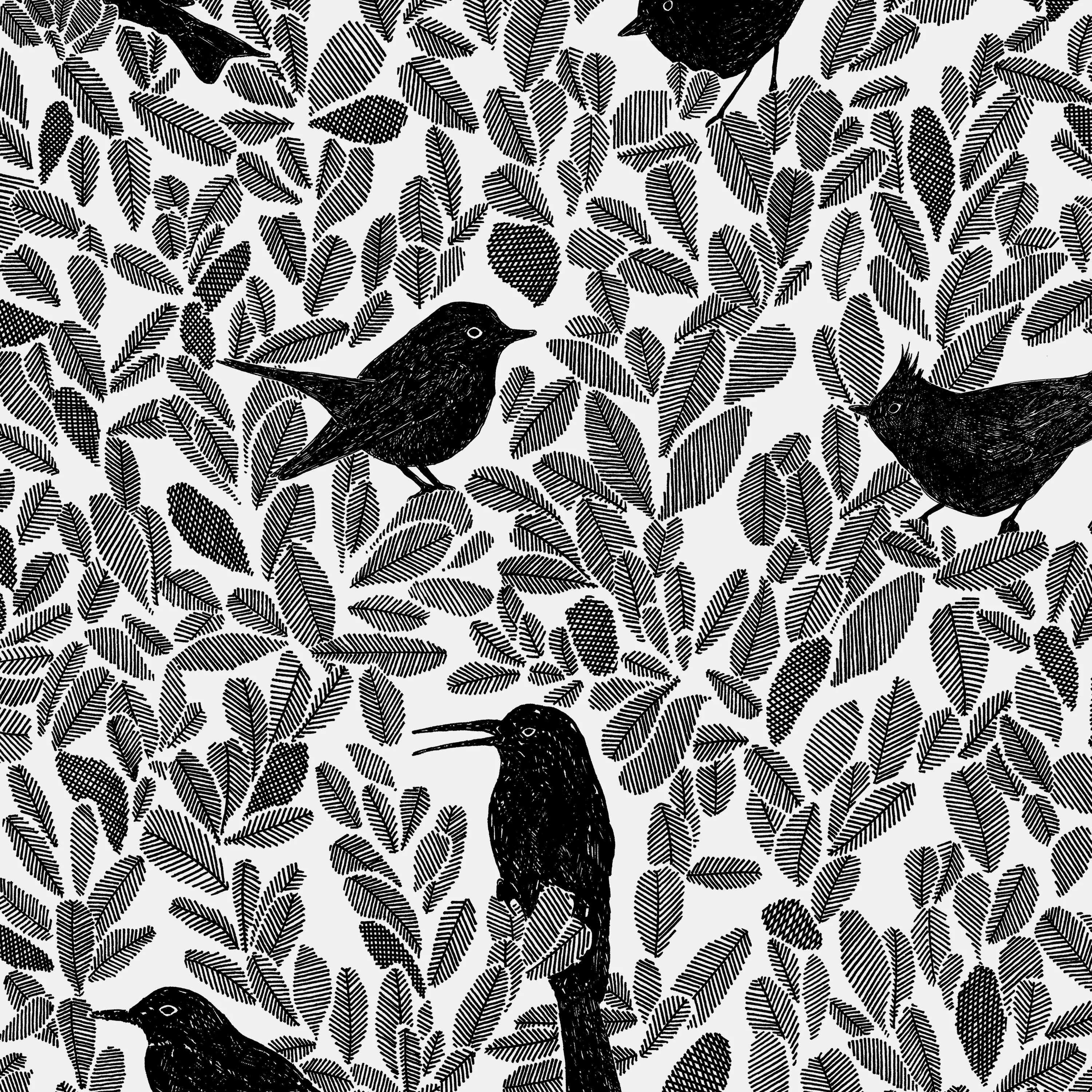 PC02 - Paradis Caché