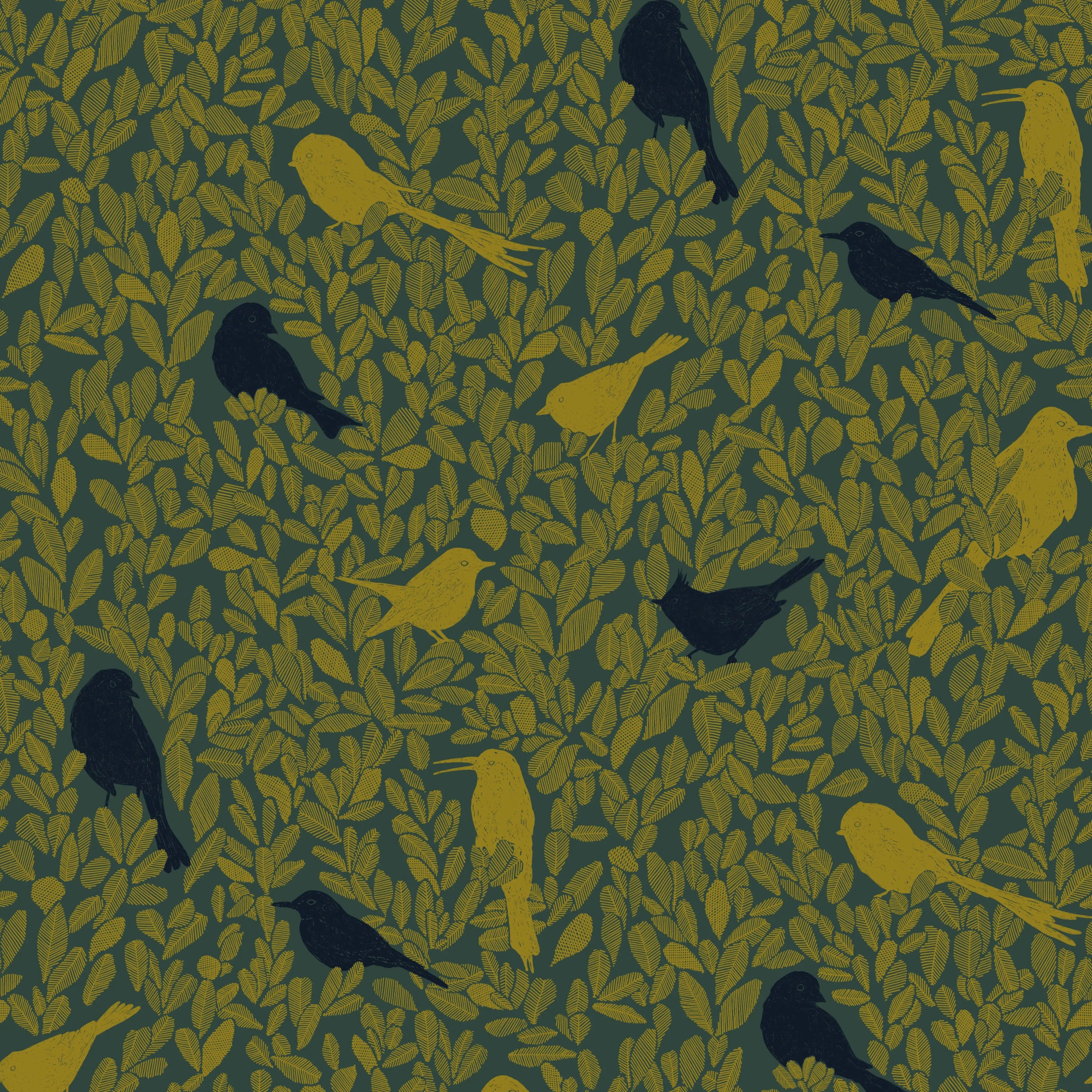 PC03 - Paradis Caché