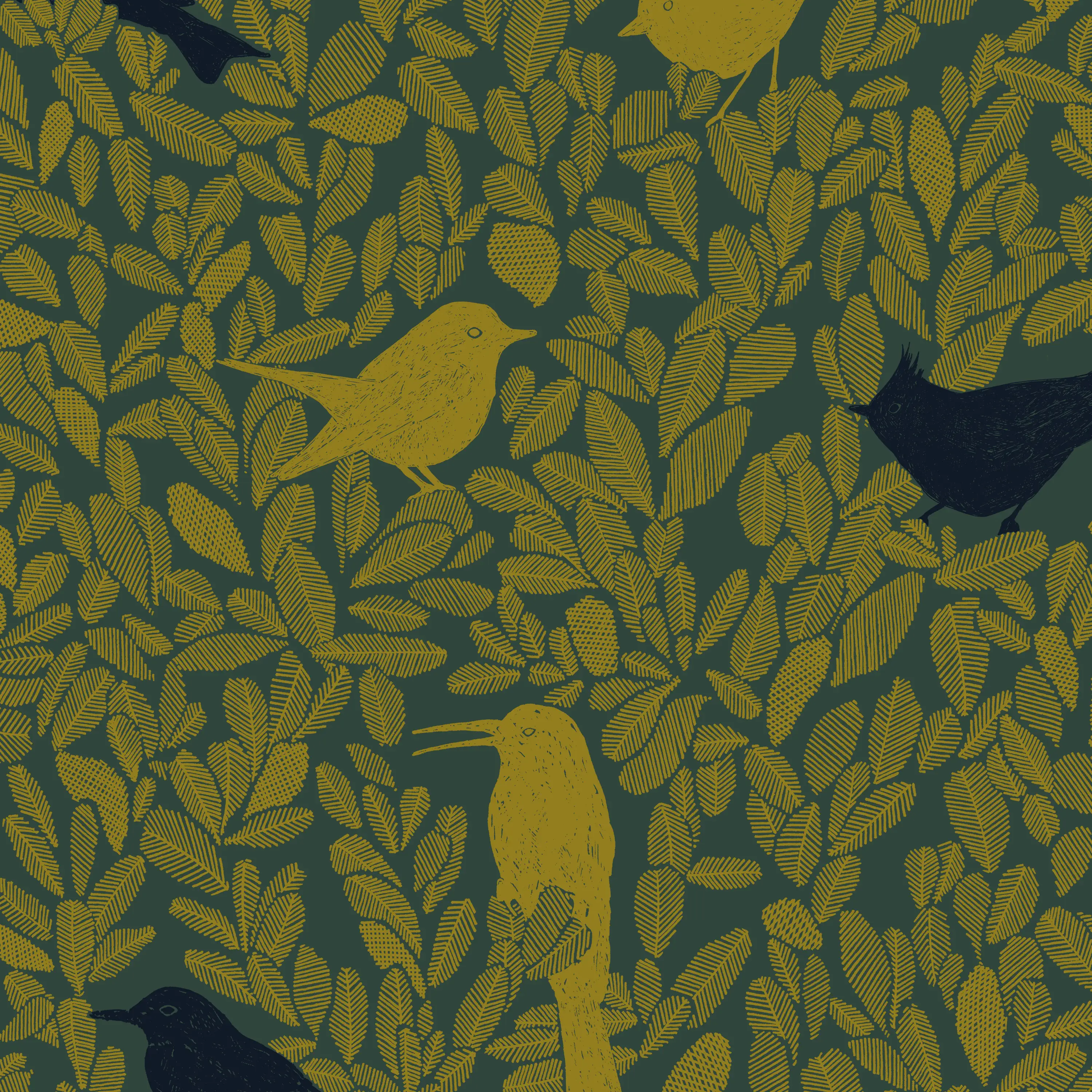 PC03 - Paradis Caché