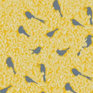 PC04 - Paradis Caché