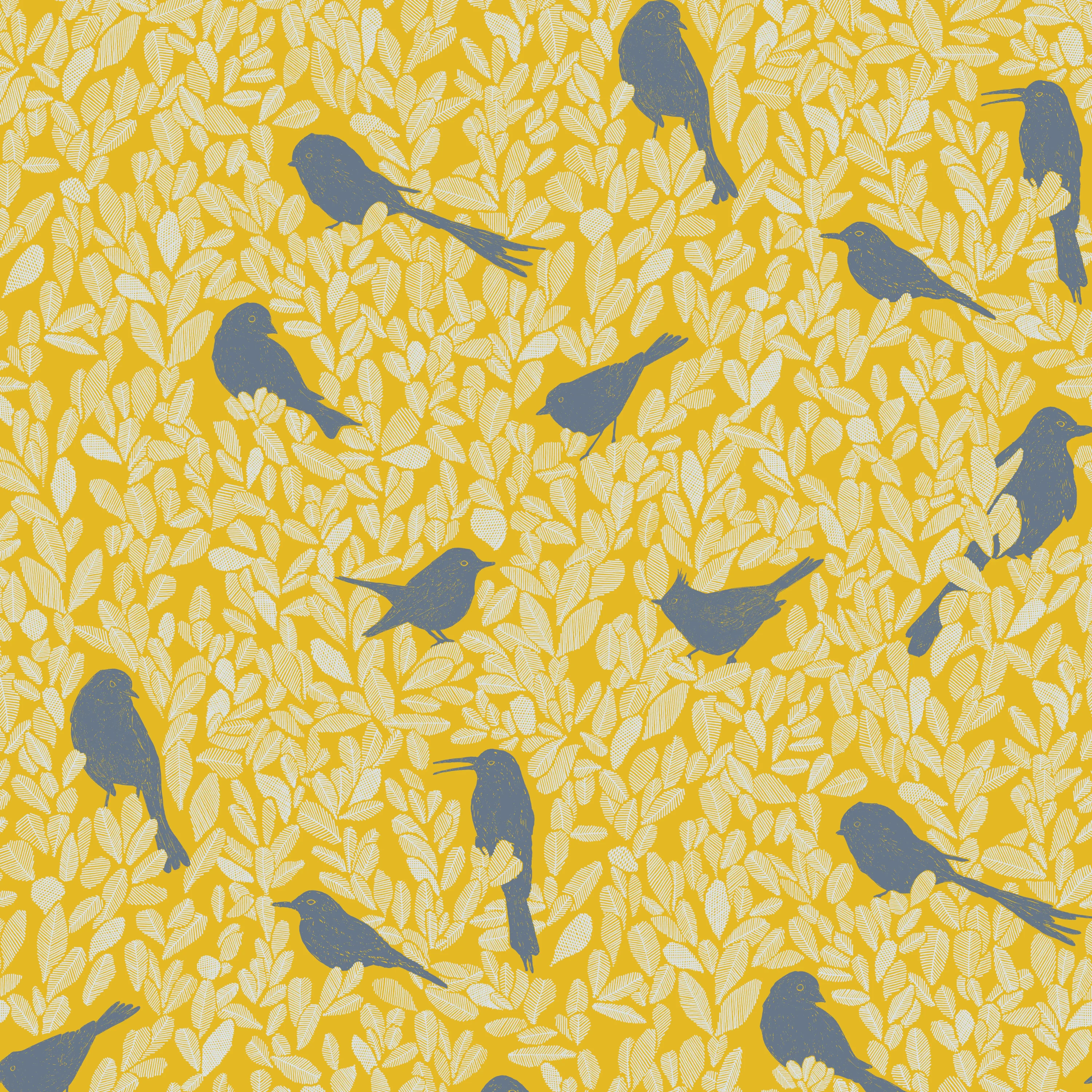 PC04 - Paradis Caché