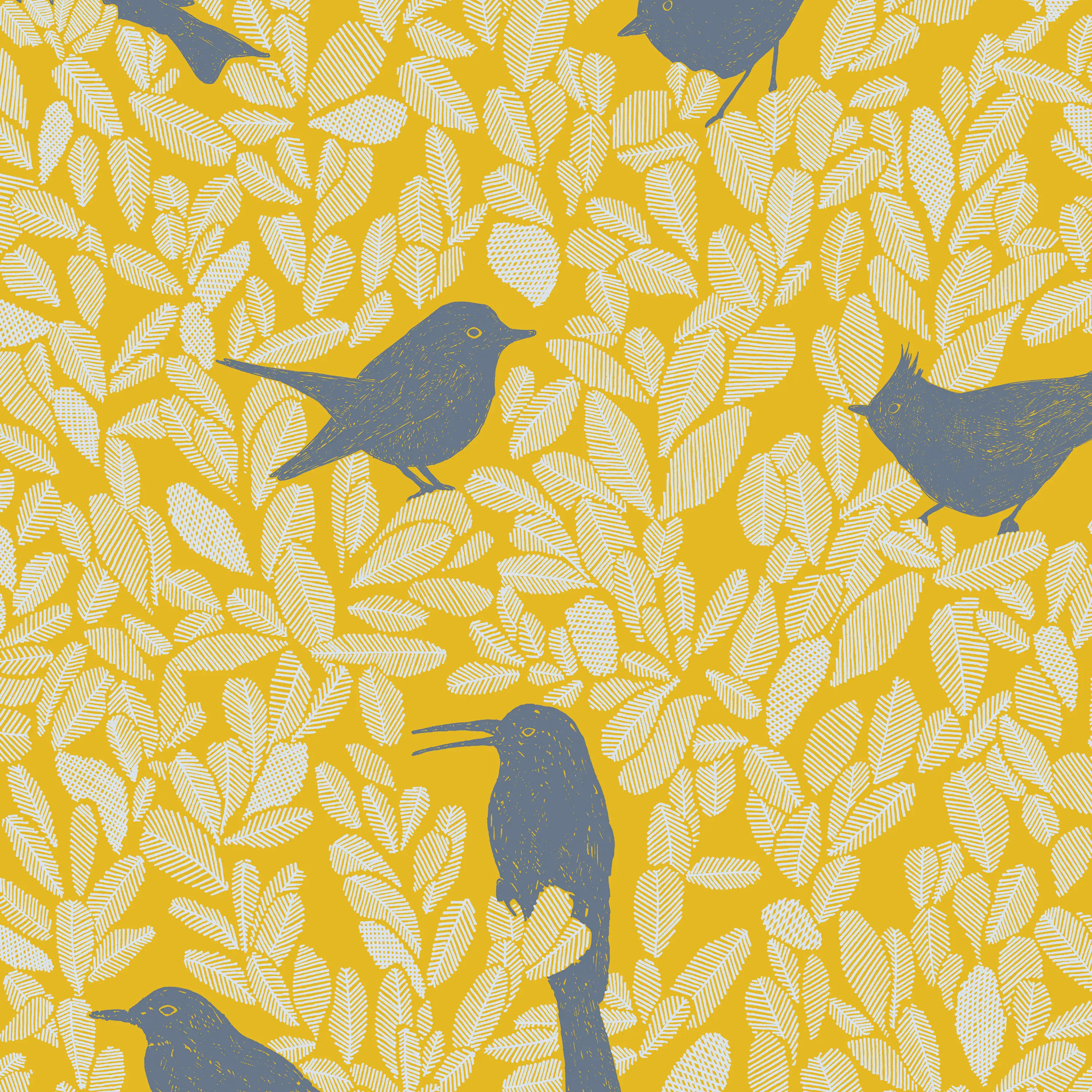 PC04 - Paradis Caché