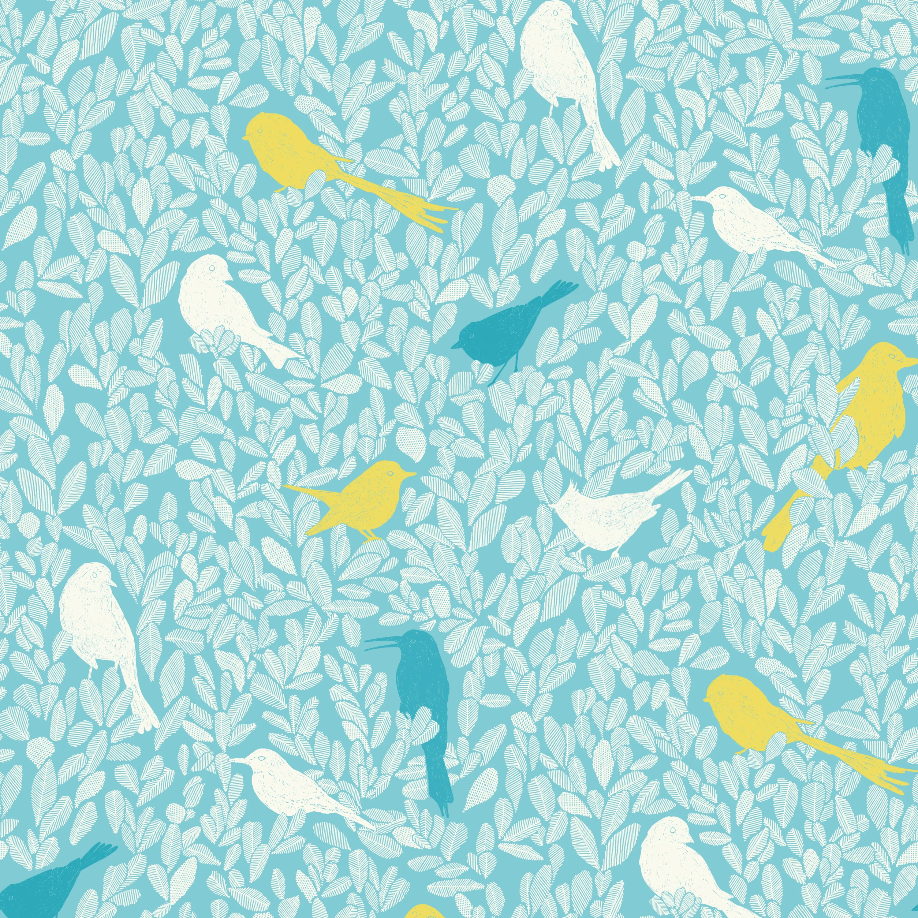 PC05 - Paradis Caché