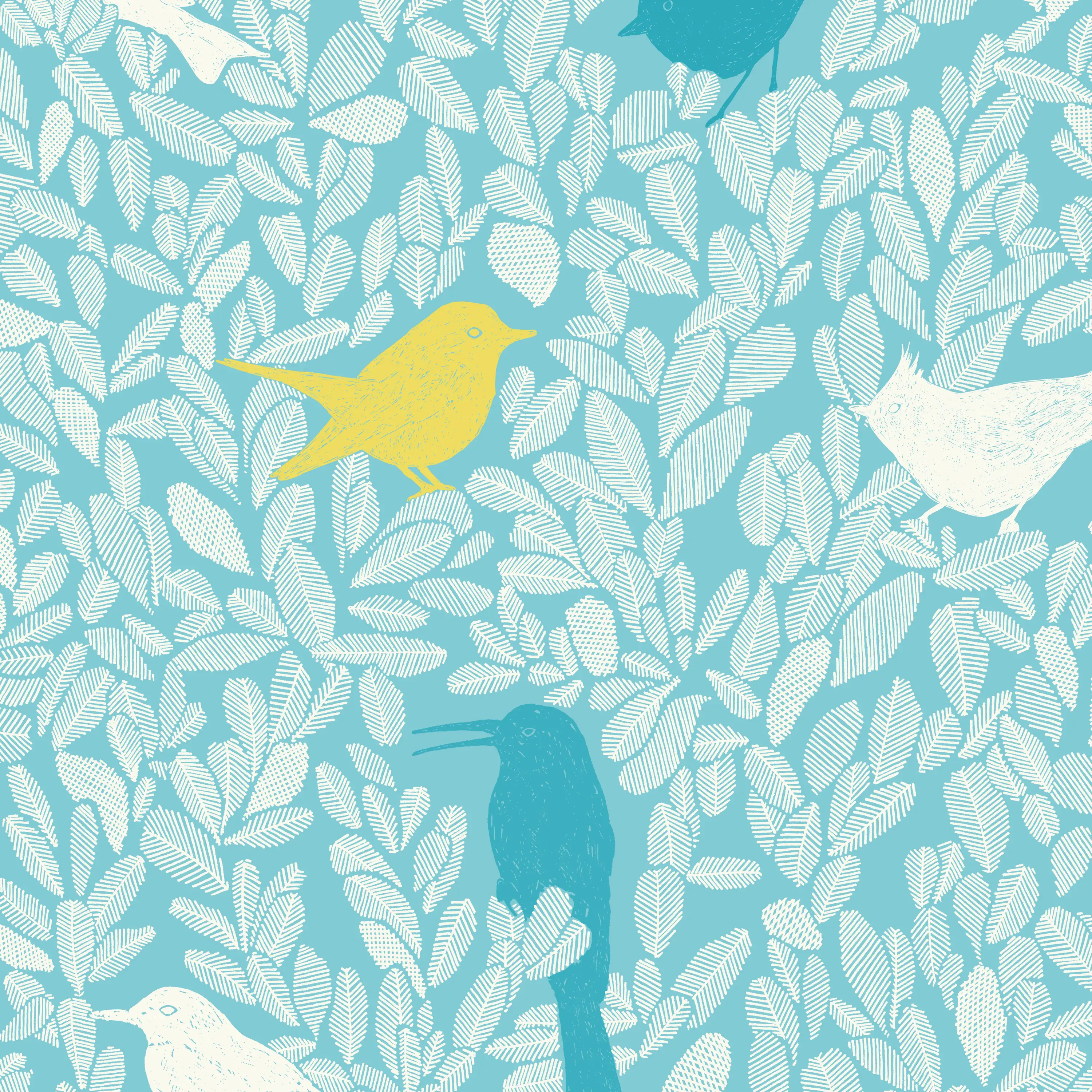 PC05 - Paradis Caché