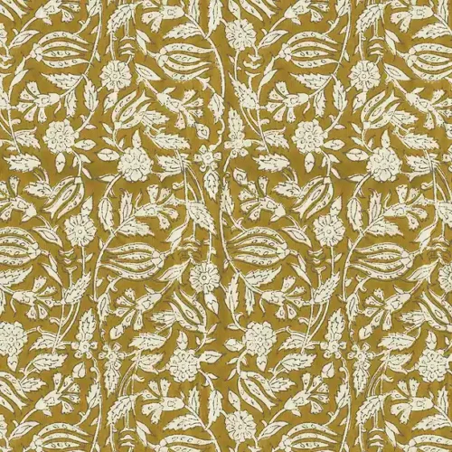 Tulipan Curcuma - Caravane x Ressource