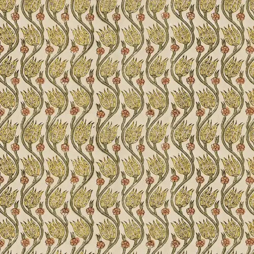 Tullio Curcuma - Caravane x Ressource