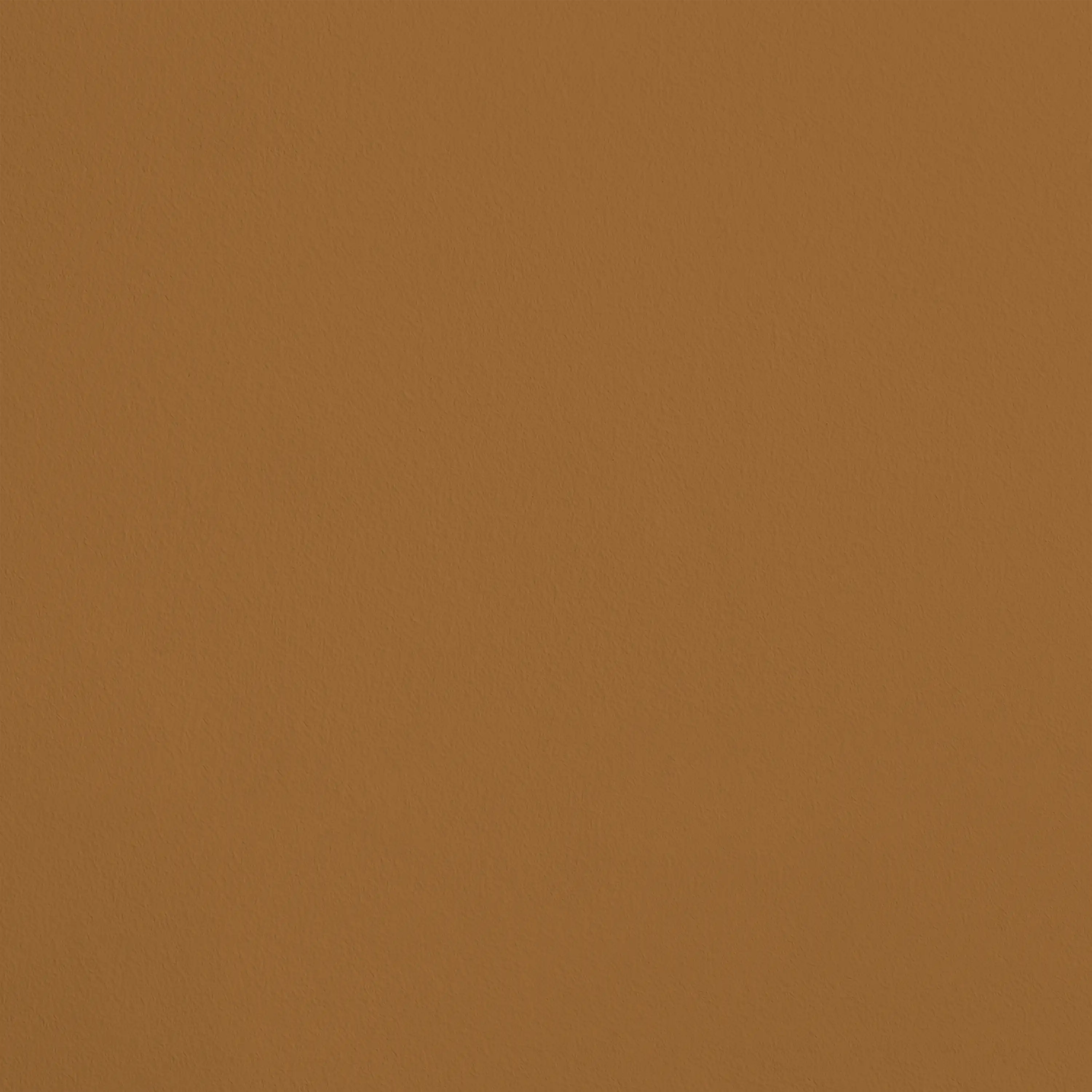 213.R406 - L'Alchimiste