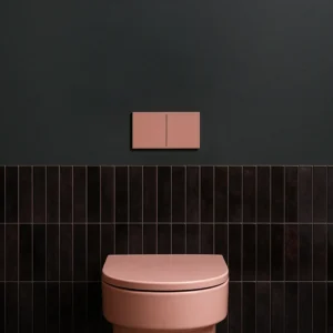 295.R965 - Le Déluge