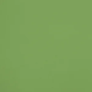32051 vert 31