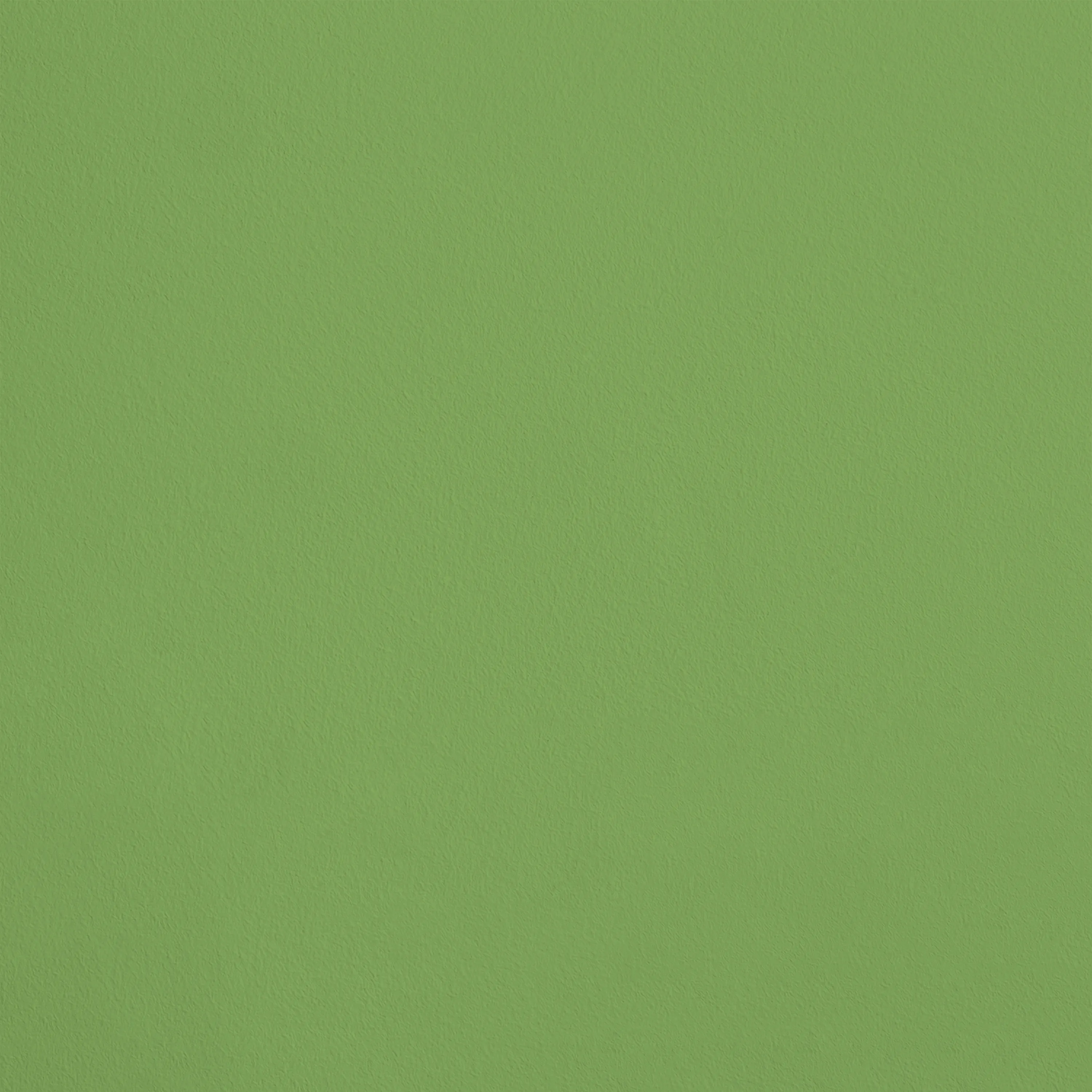 32051 vert 31