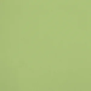 32052 vert clair