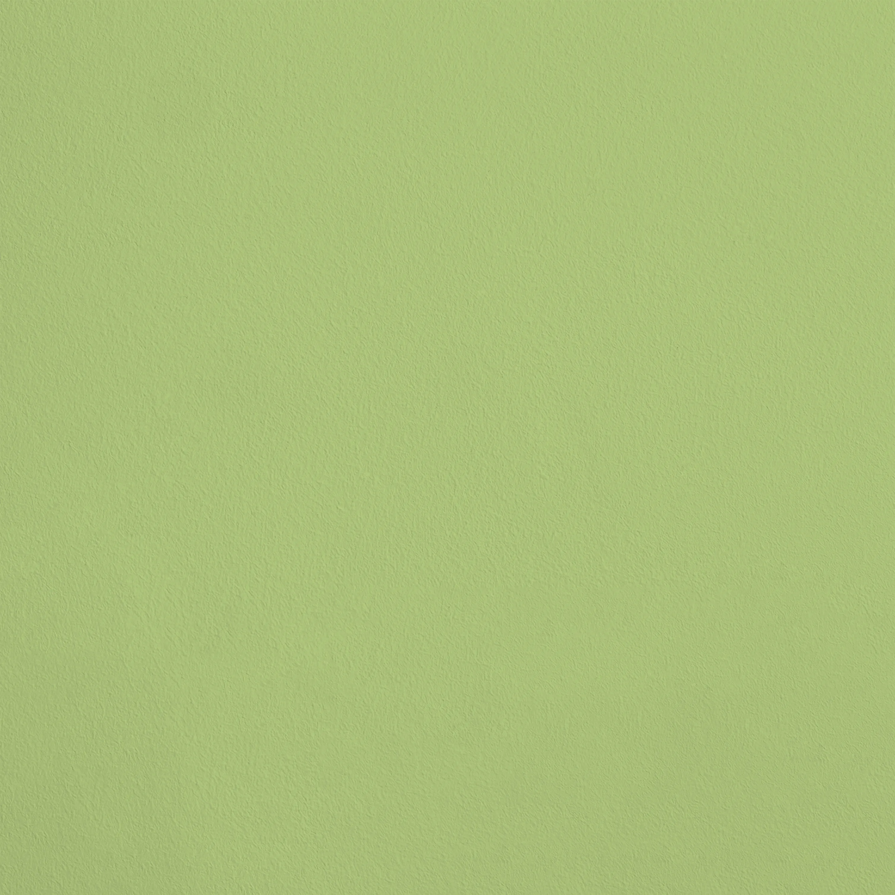 32052 vert clair