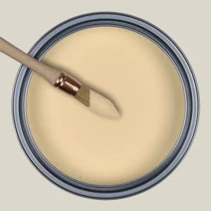 32060 ocre