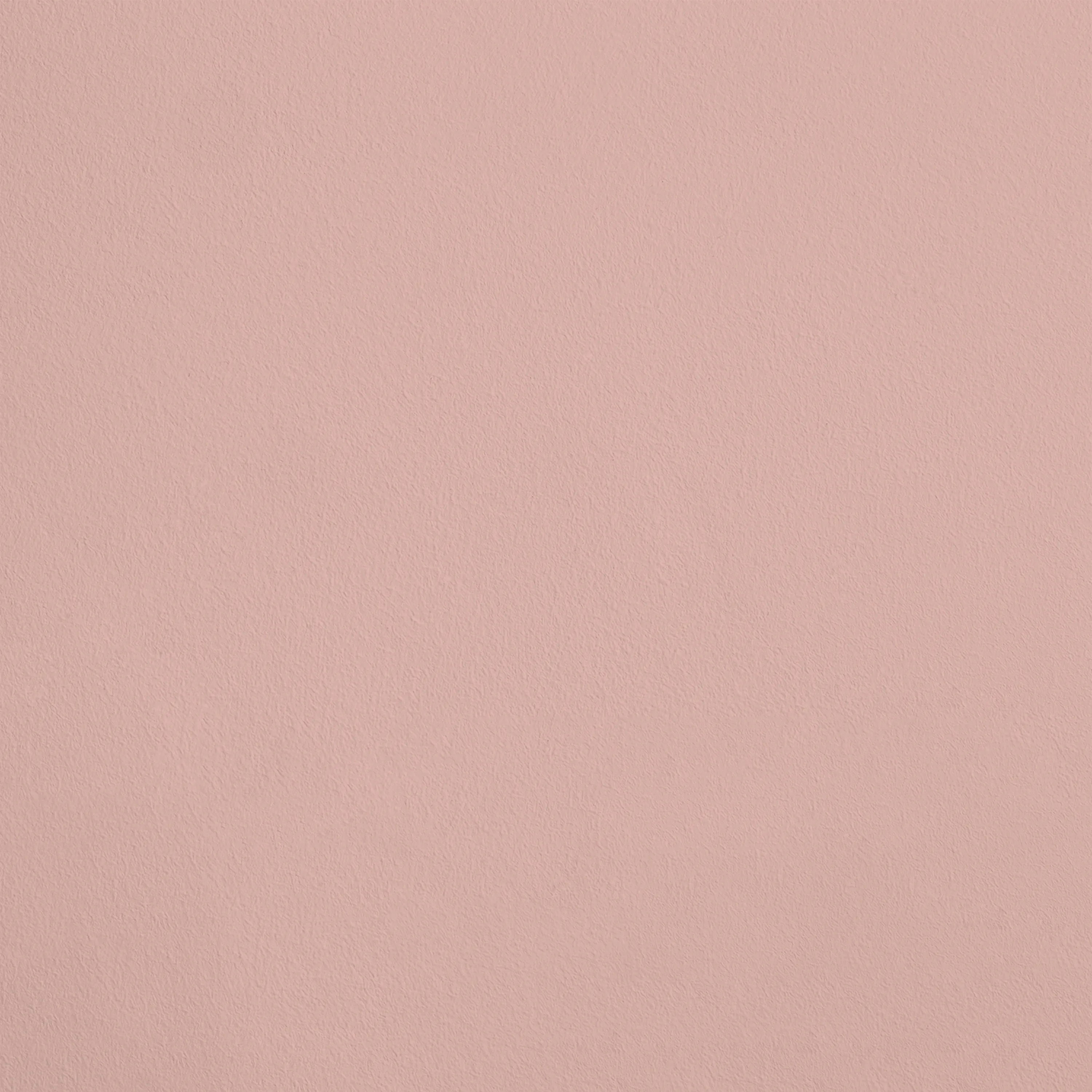 32102 rose clair