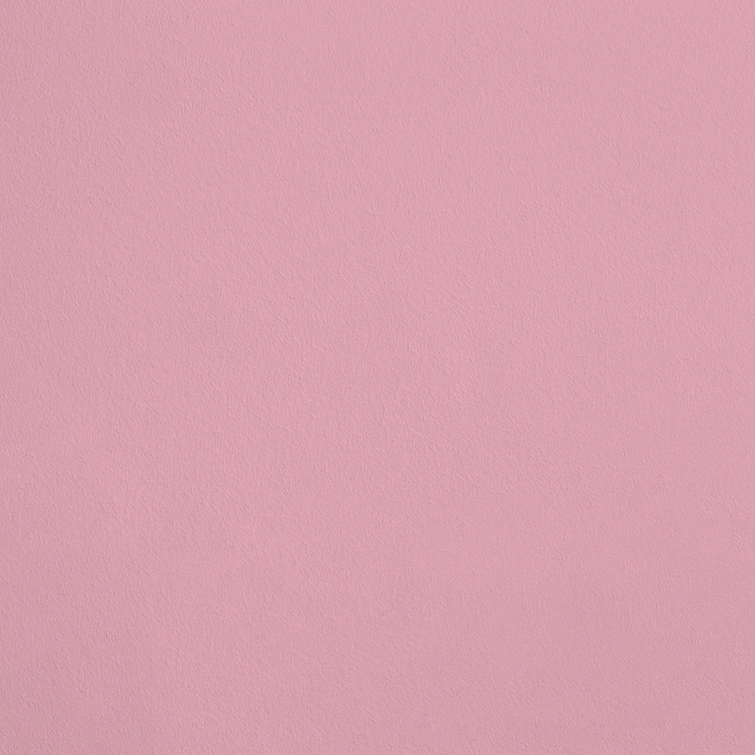 4320C rose vif