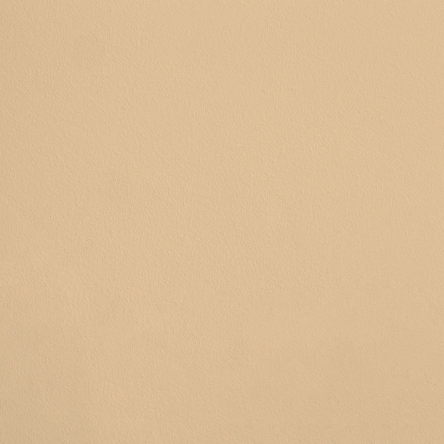 4320P terre sienne claire 59