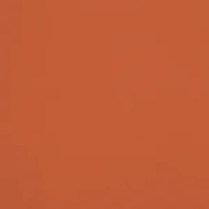 4320S orange vif