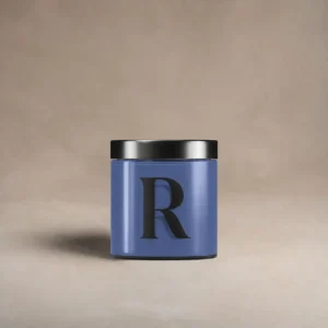 Pot testeur de peinture 100 ml, teinte R865 - L'Allégorie, Violet Symbolique (violet bleu), Collection Ressource